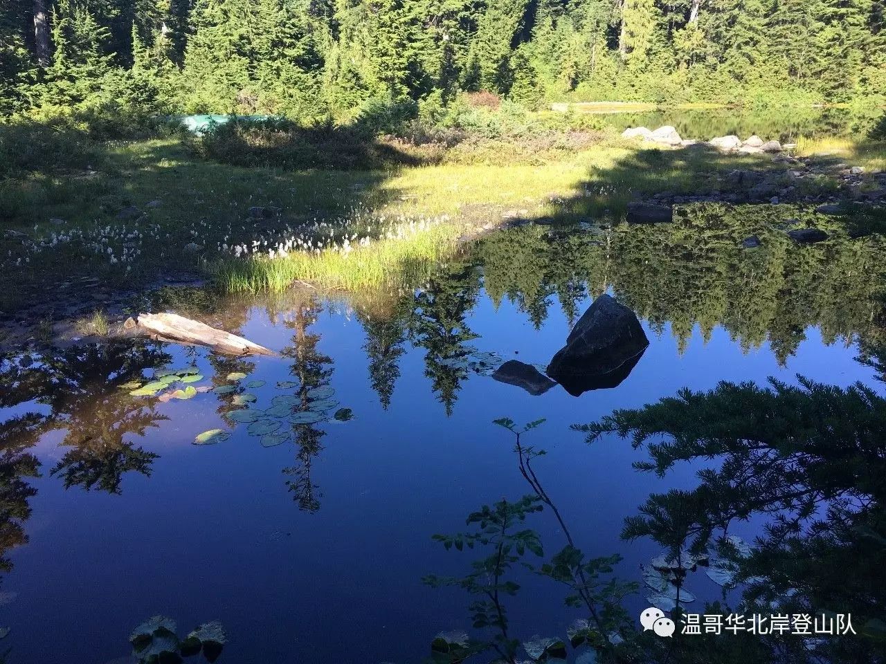 包含漓江暴熊队对阵云贵雪豹队,F1常规赛守住胜果,细节决定成败——外援联手发威的词条 包含漓江暴熊队对阵云贵雪豹队,F1常规赛守住胜果,细节决定成败——外援联手发威的词条